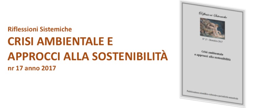 Riflessioni Sistemiche - Vol. 17